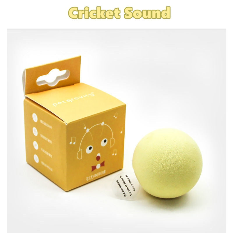 CatsBall™ | Laat je kat zich verbazen met deze geluidsbal - Lovely Products